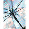 Parapluie Spider-man bleu enfant automatique 45 cm - miniature variant 2