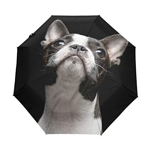 Parapluie Boston Terrier - Chien - noir automatique 61 cm