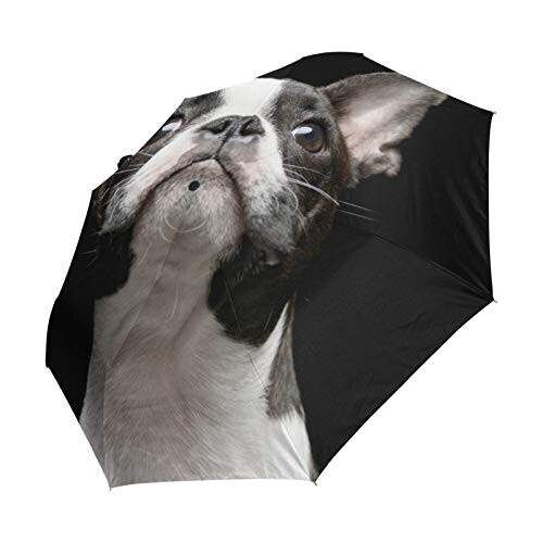 Parapluie Boston Terrier - Chien - noir automatique 61 cm variant 1 