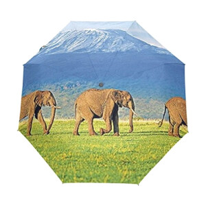 Parapluie Éléphant multicouleurouge automatique