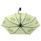 Parapluie Grenouille noir automatique 28 cm - miniature variant 5