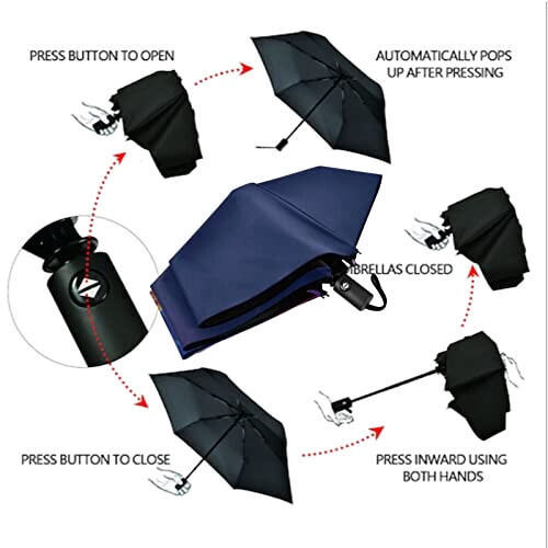 Parapluie Loup automatique variant 4 