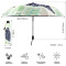 Parapluie Raisin automatique - miniature variant 3