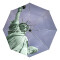 Parapluie New York image automatique - miniature