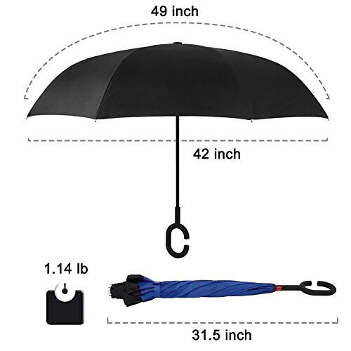 Parapluie bleu variant 5 