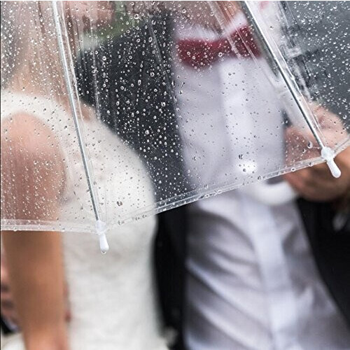 Parapluie Transparent automatique 81 cm variant 2 